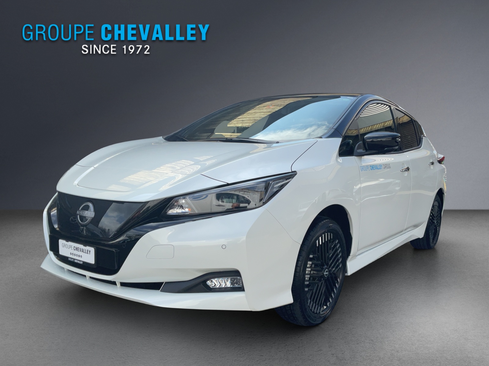 Photo NISSAN LEAF Leaf e+ Tekna (incl. battery)